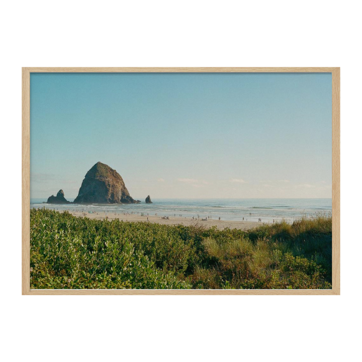 Cuadro "Cannon Beach V"