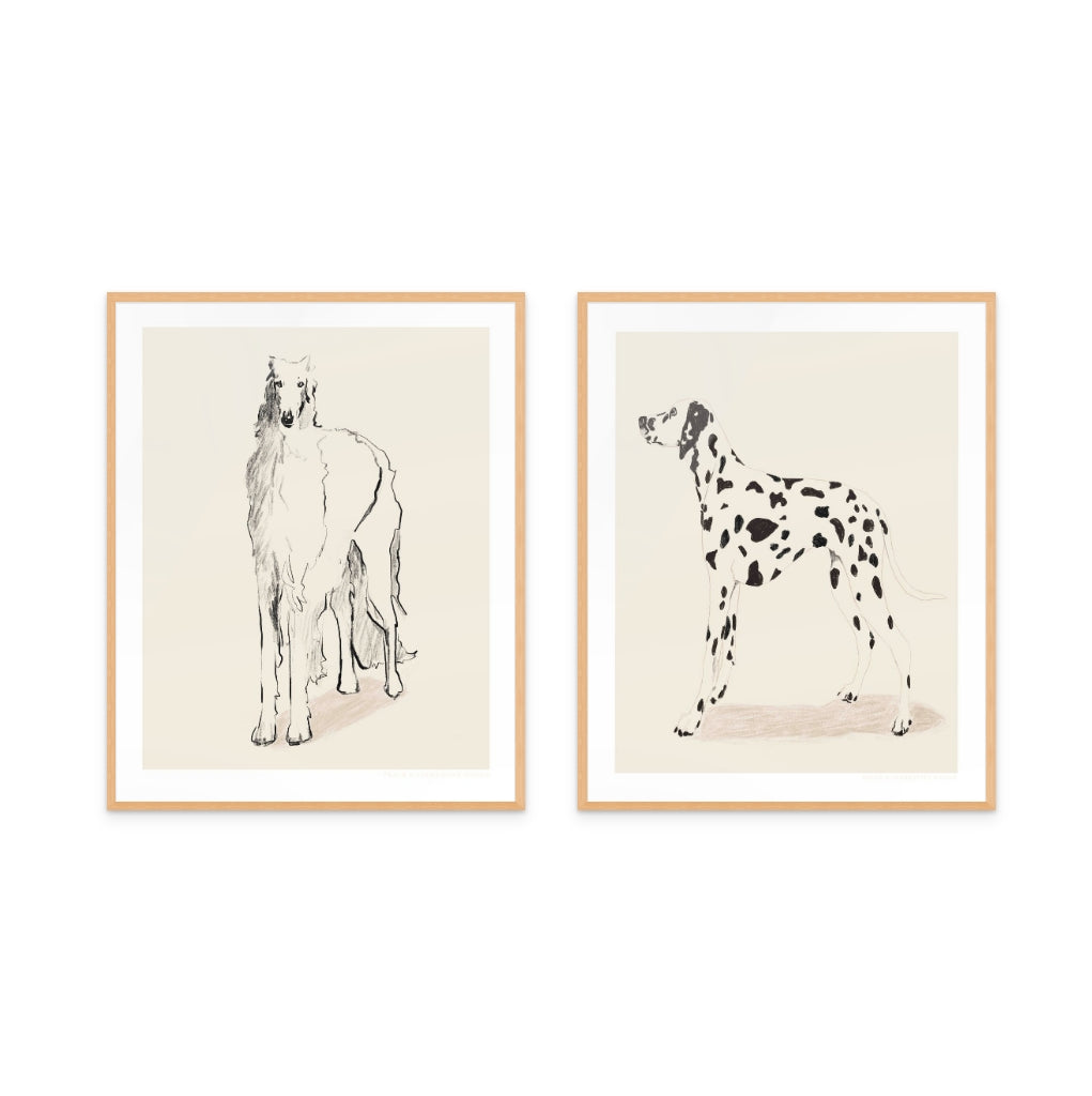Set de cuadros "Dogs"