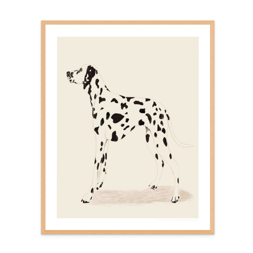 Cuadro "Pandc Dalmation"