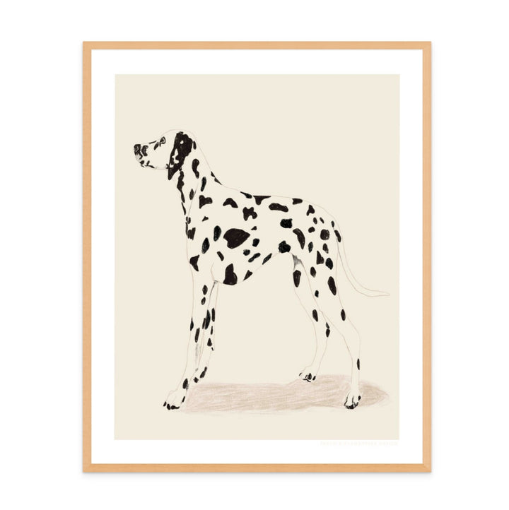 Cuadro "Pandc Dalmation"