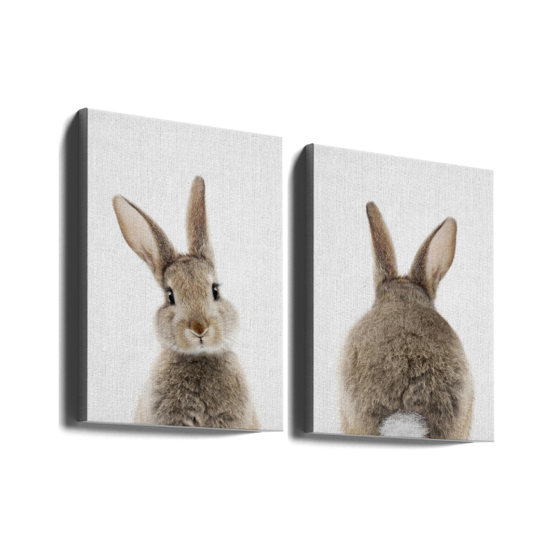 Set de cuadros "Peekaboo Bunny"