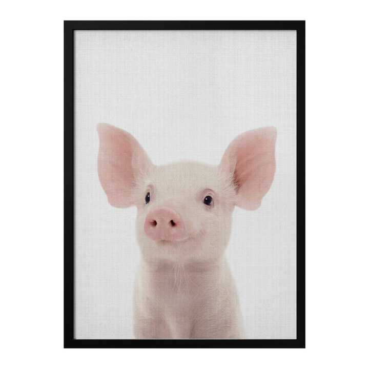 Cuadro "Peekaboo Baby Pig"