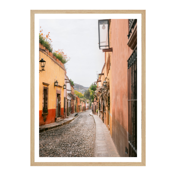 Cuadro "San Miguel de Allende | Mexico travel photography"
