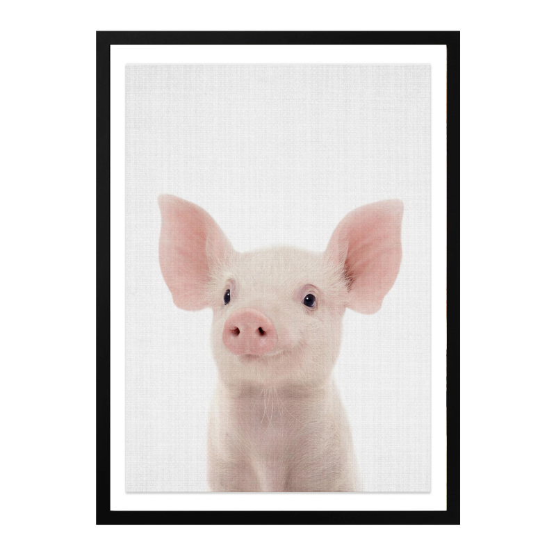 Cuadro "Peekaboo Baby Pig"