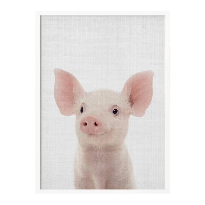 Cuadro "Peekaboo Baby Pig"