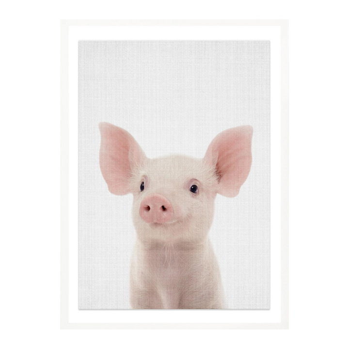 Cuadro "Peekaboo Baby Pig"