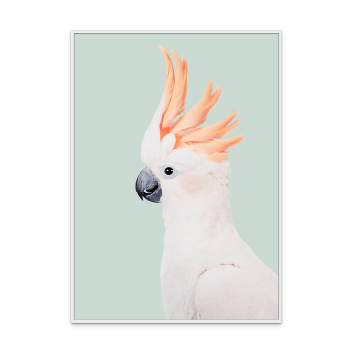 Cuadro "Cockatoo"