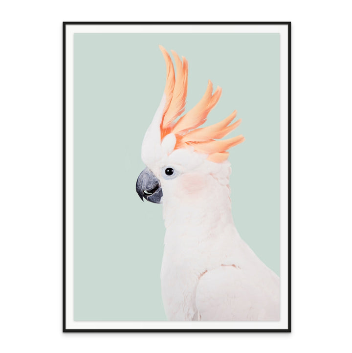 Cuadro "Cockatoo"