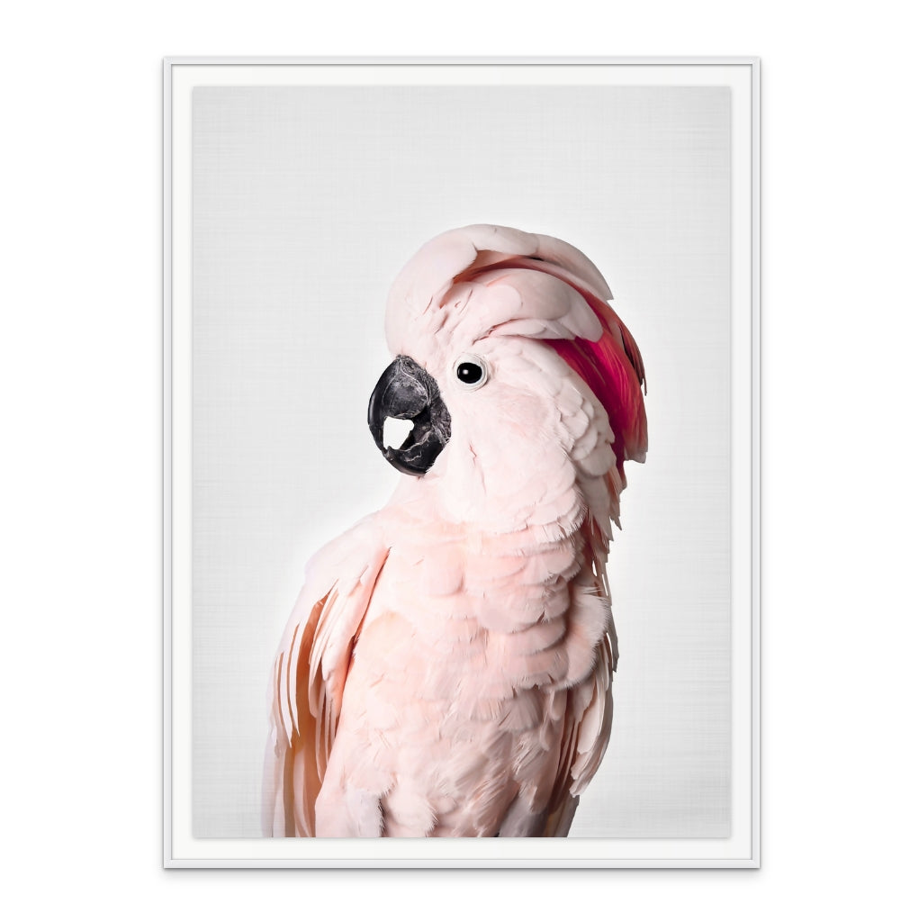 Cuadro "Pink Cockatoo"