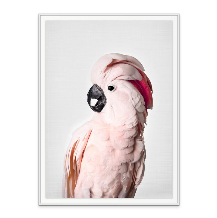 Cuadro "Pink Cockatoo"