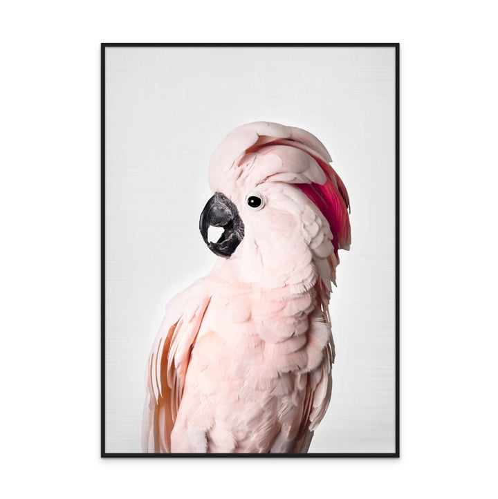 Cuadro "Pink Cockatoo"