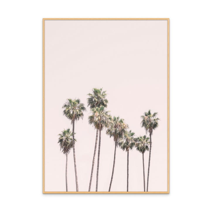 Cuadro "Blush Palms"