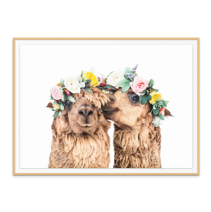 Cuadro "Boho Alpacas"