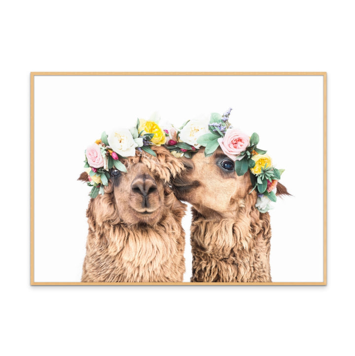 Cuadro "Boho Alpacas"