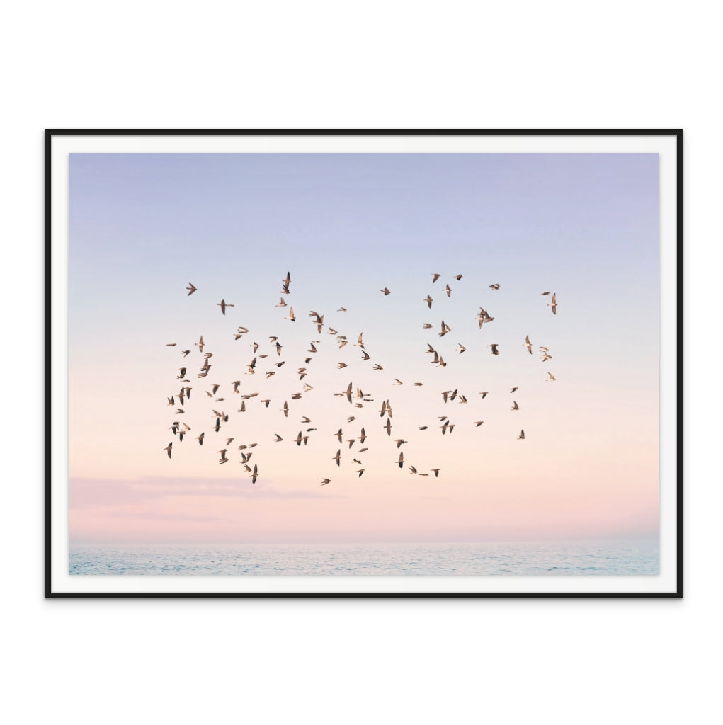 Sunset Flight Art Print