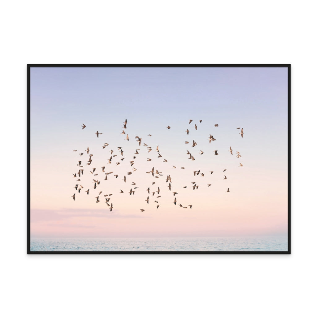 Sunset Flight Art Print