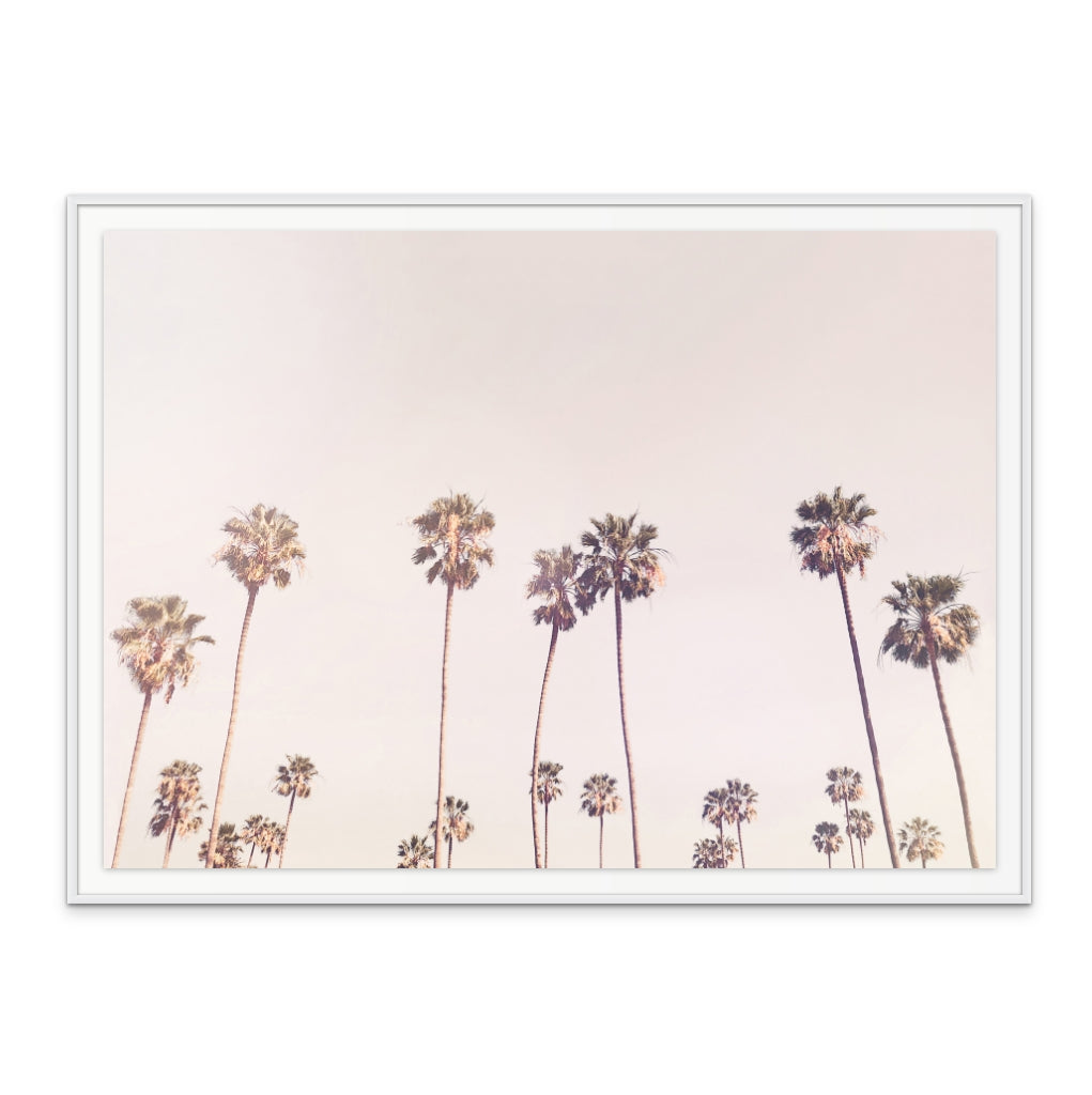 Cuadro "Sunny Cali Palm Trees"
