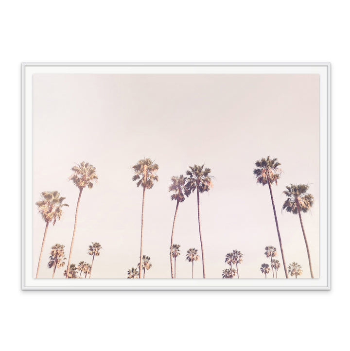 Cuadro "Sunny Cali Palm Trees"