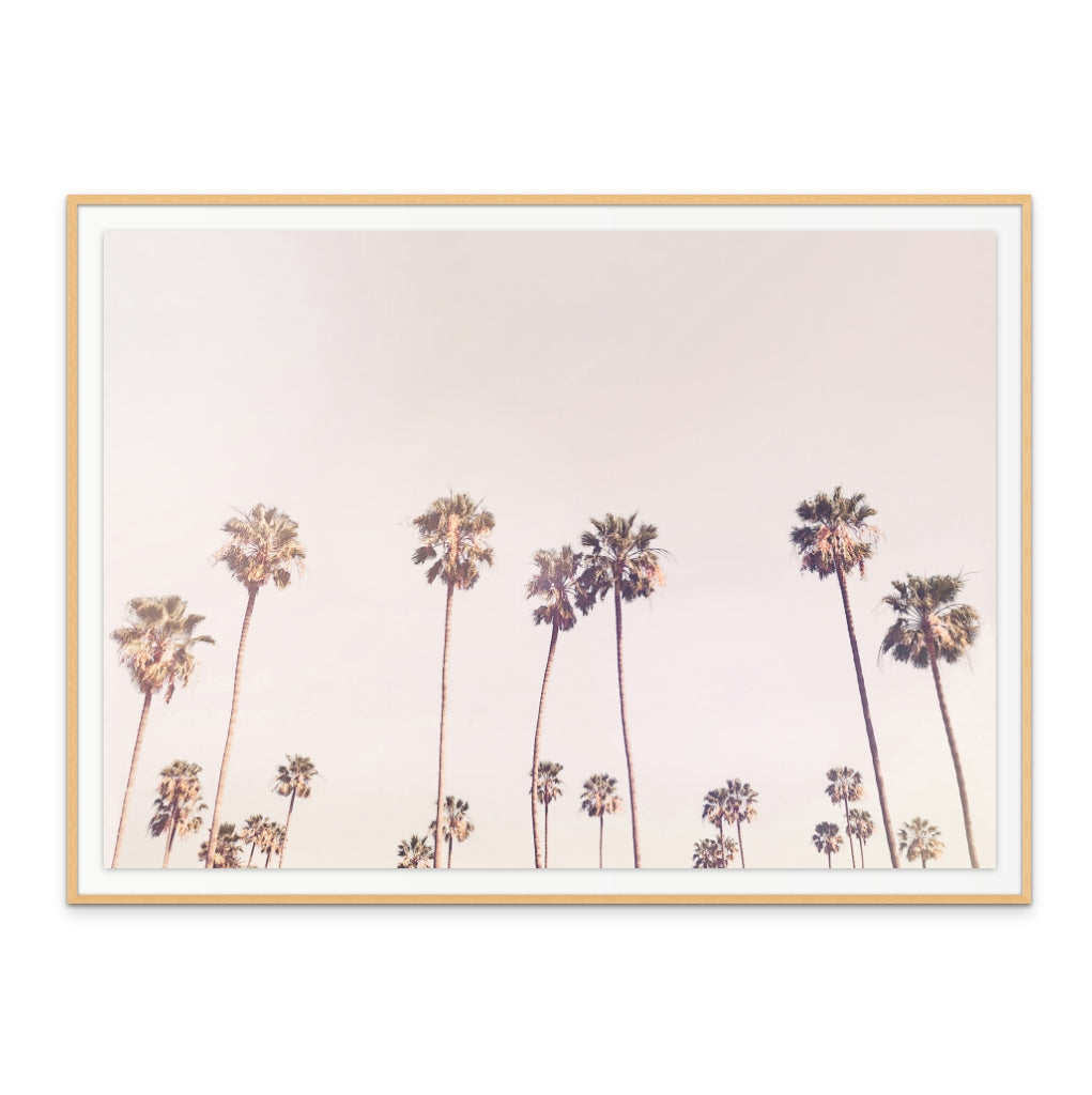Cuadro "Sunny Cali Palm Trees"
