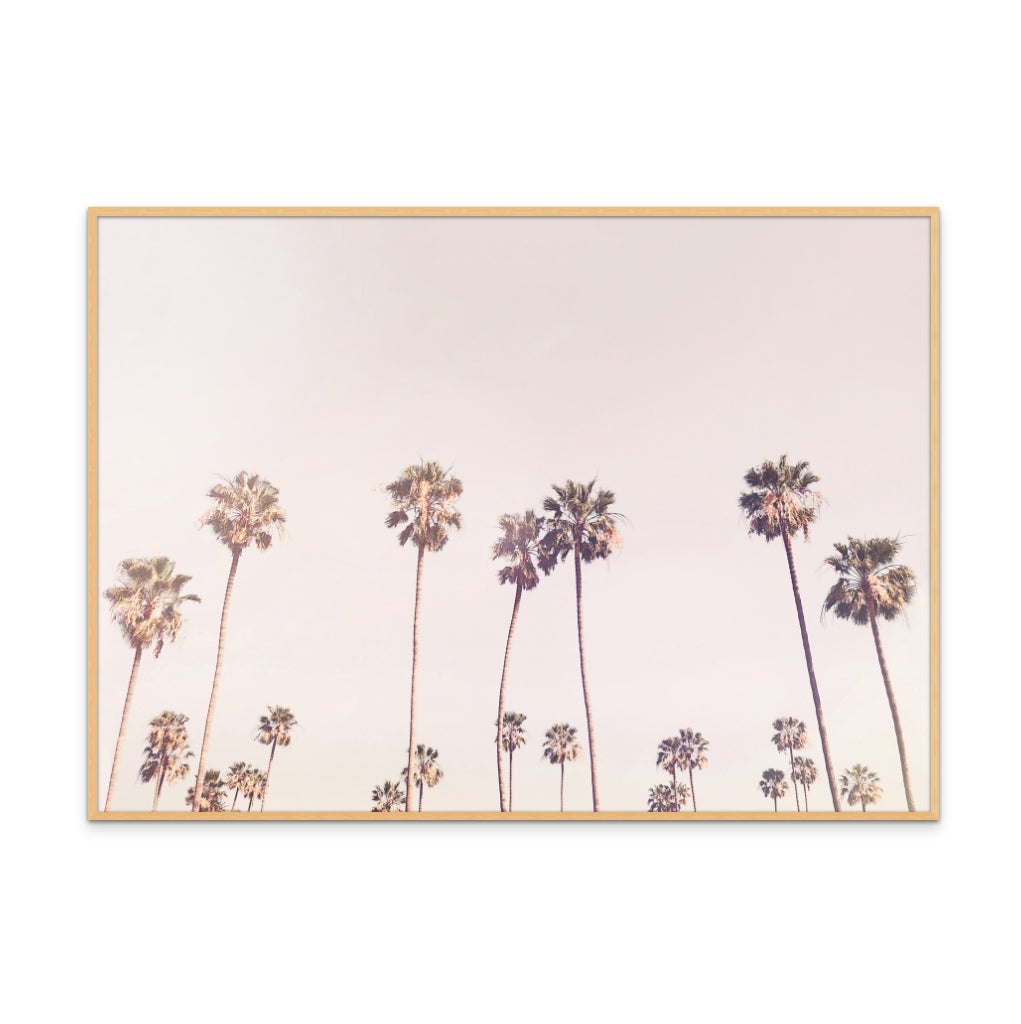 Cuadro "Sunny Cali Palm Trees"