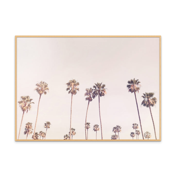 Cuadro "Sunny Cali Palm Trees"