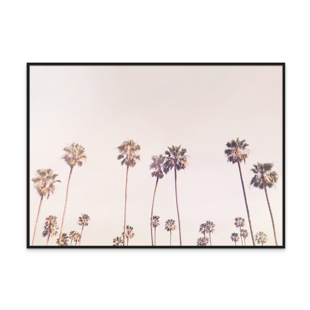 Cuadro "Sunny Cali Palm Trees"