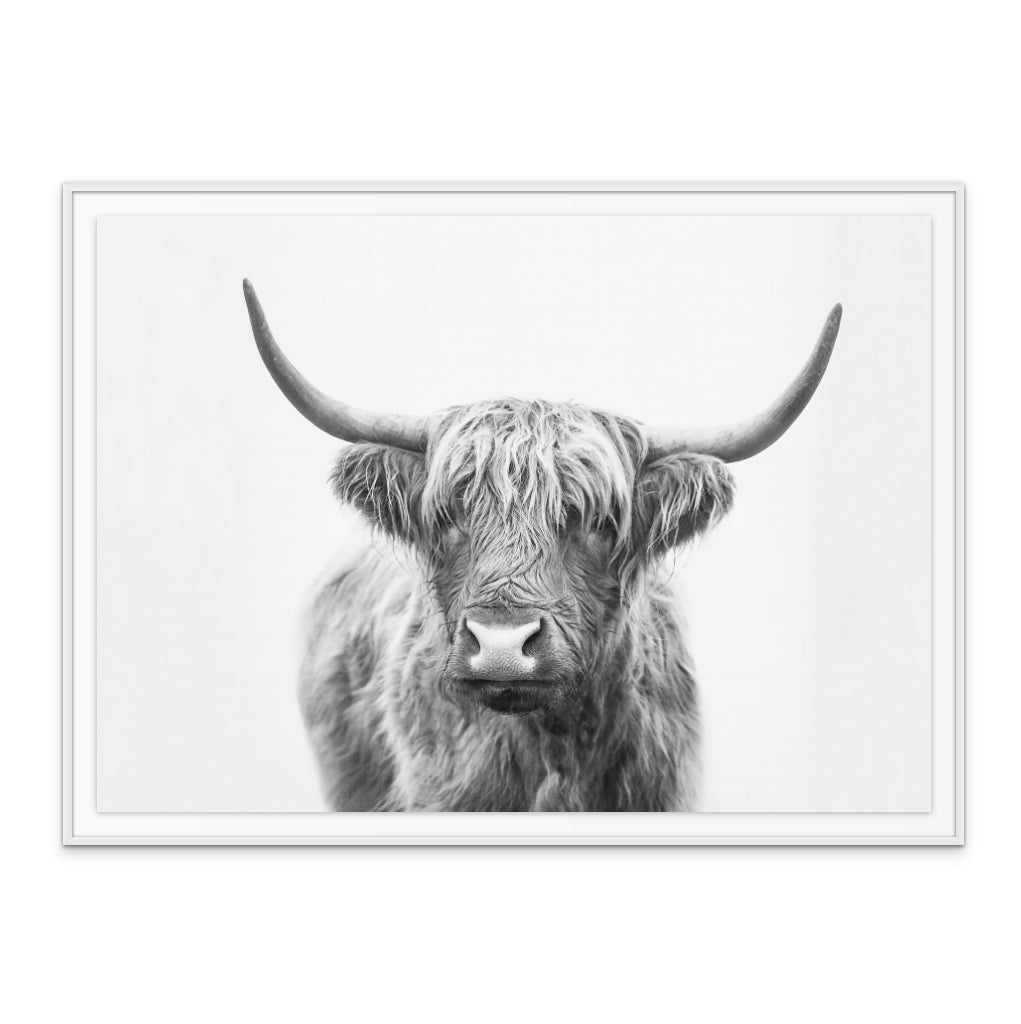 Cuadro "Highland Bull"