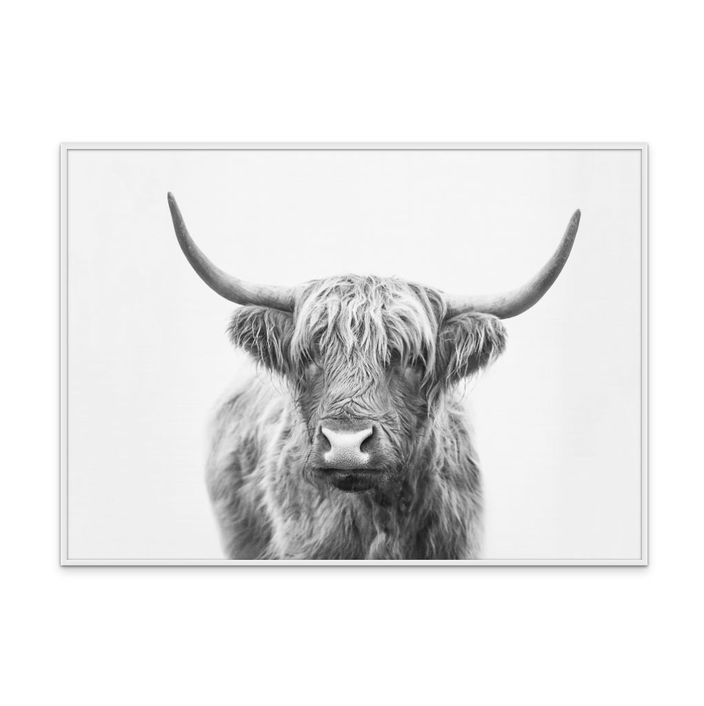 Cuadro "Highland Bull"