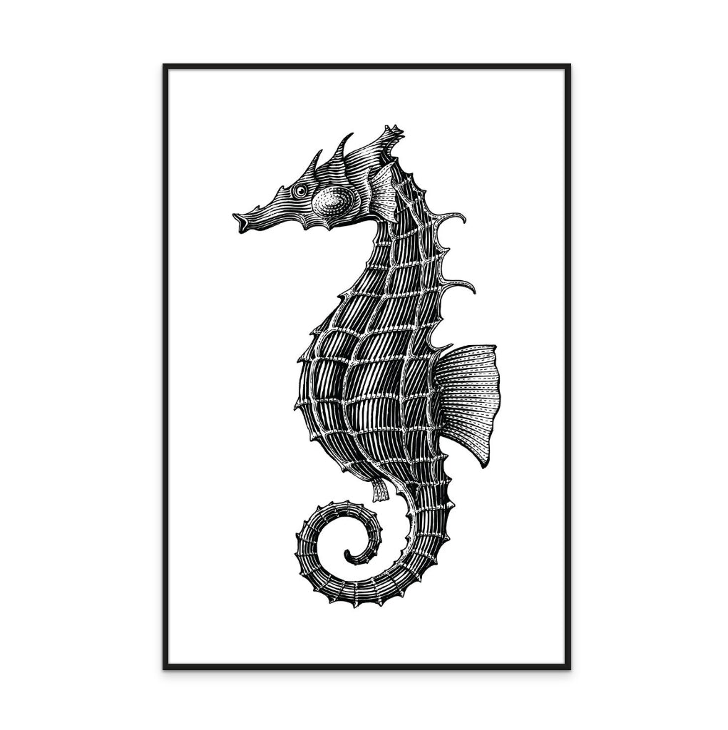 Cuadro "Seahorse"