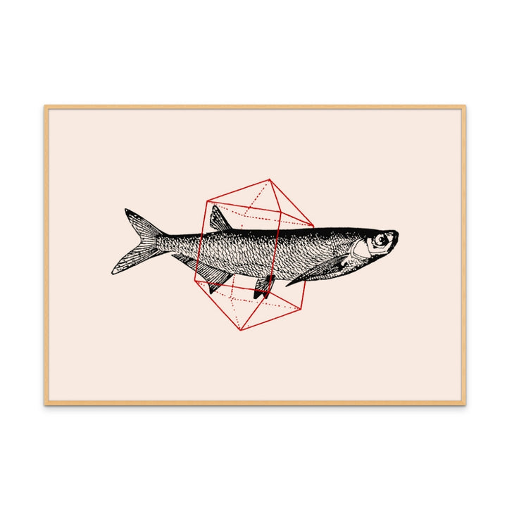 Cuadro "Fish In Geometrics NAo2"