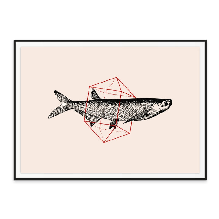 Cuadro "Fish In Geometrics NAo2"