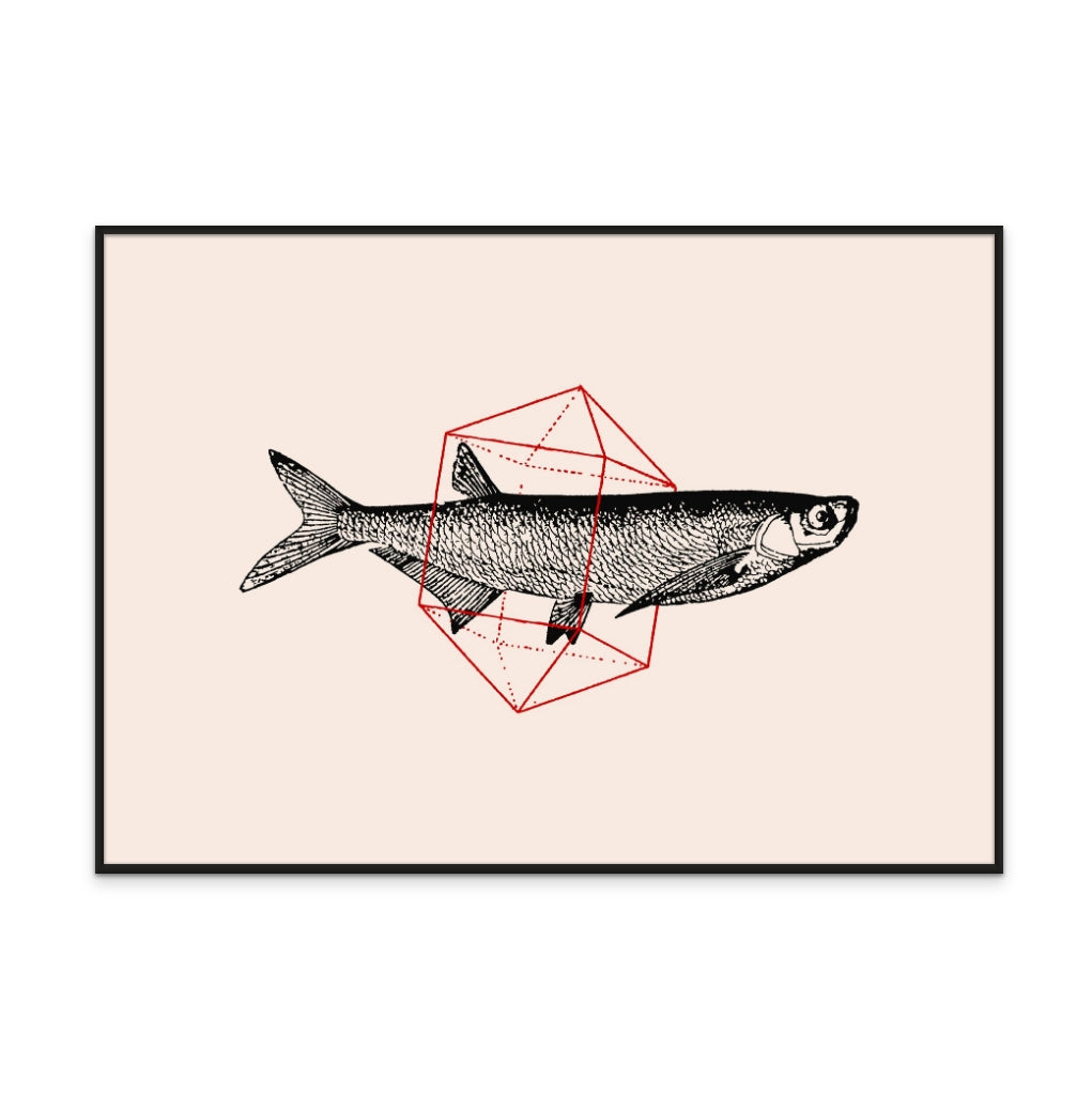Cuadro "Fish In Geometrics NAo2"