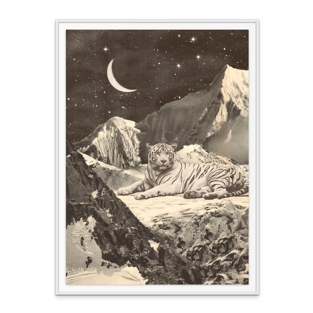 Cuadro "Giant White Tiger"