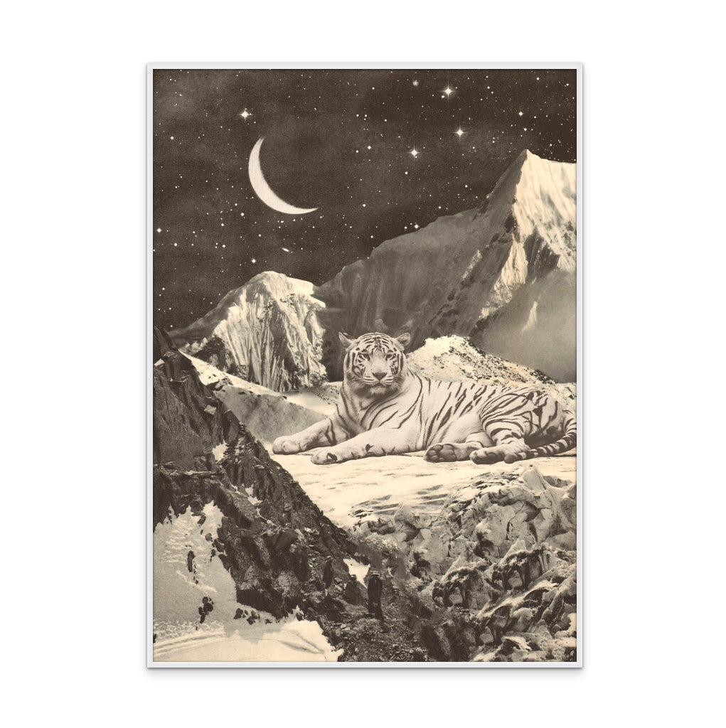 Cuadro "Giant White Tiger"