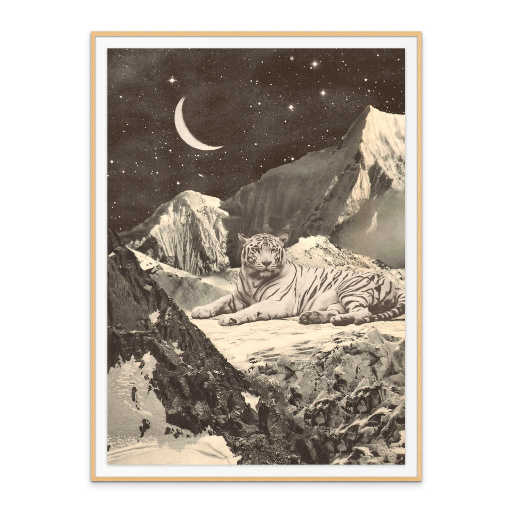 Cuadro "Giant White Tiger"