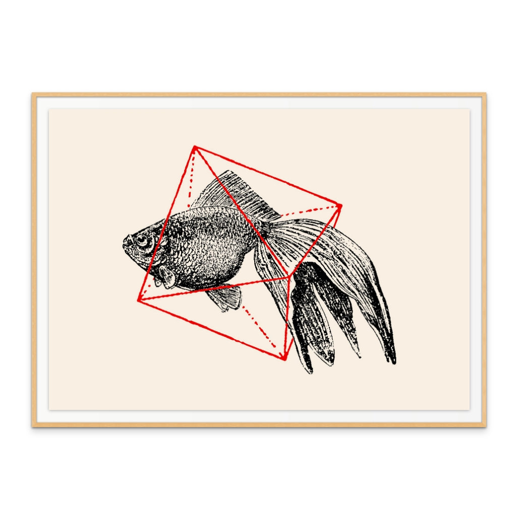Cuadro "Fish In Geometrics NAo3"