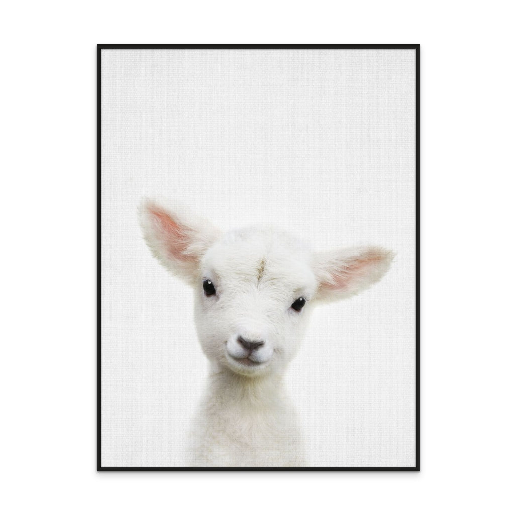 Cuadro "Peekaboo Baby Sheep"