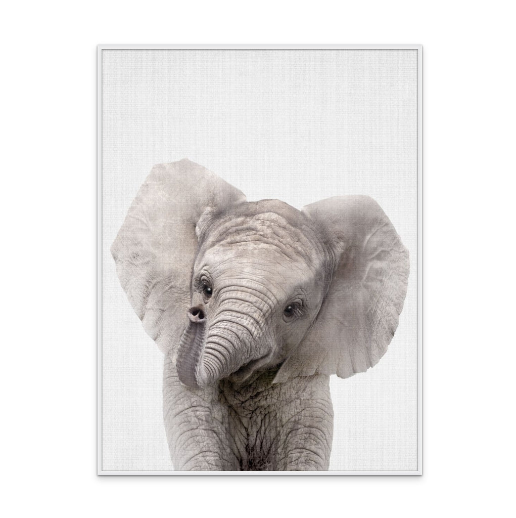 Cuadro "Peekaboo Baby Elephant"