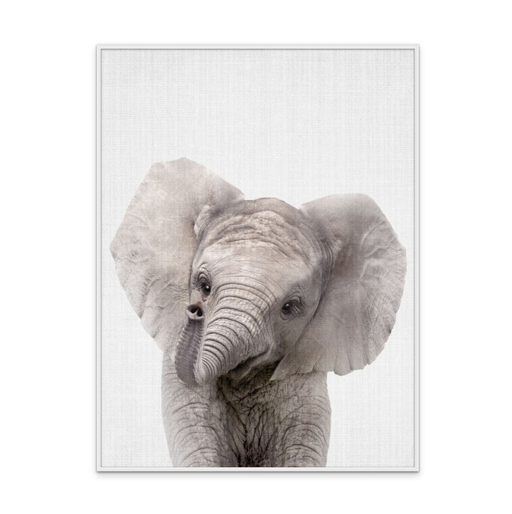 Cuadro "Peekaboo Baby Elephant"
