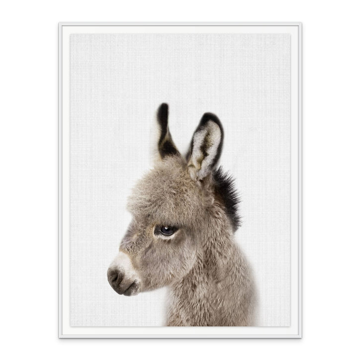 Cuadro "Peekaboo Baby Donkey"