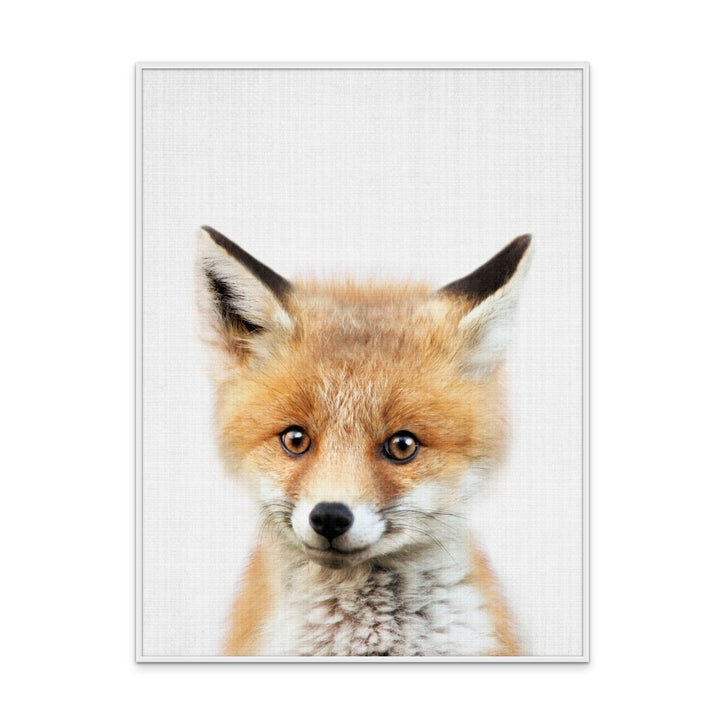 Cuadro "Peekaboo Baby Fox"