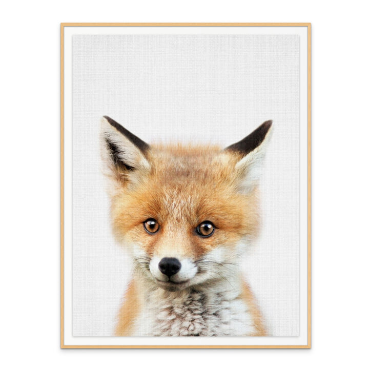 Cuadro "Peekaboo Baby Fox"