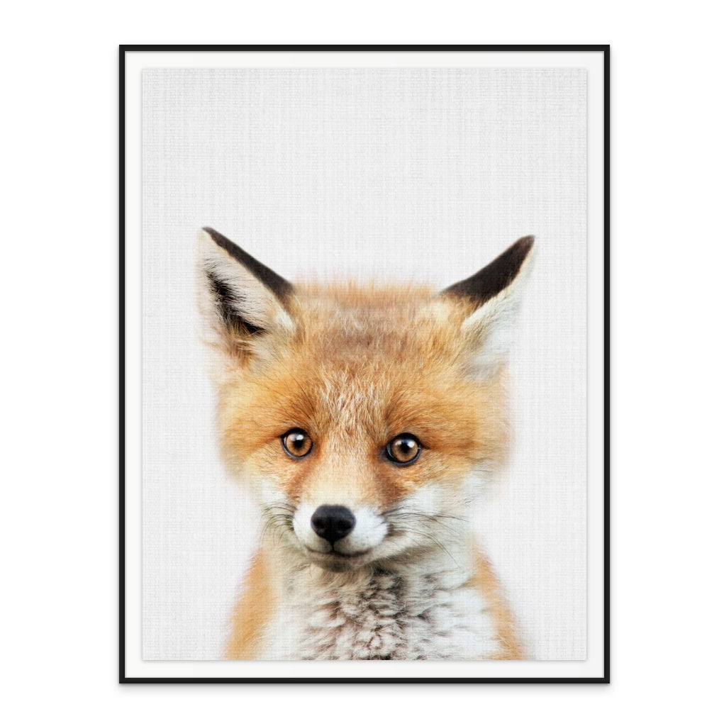 Cuadro "Peekaboo Baby Fox"