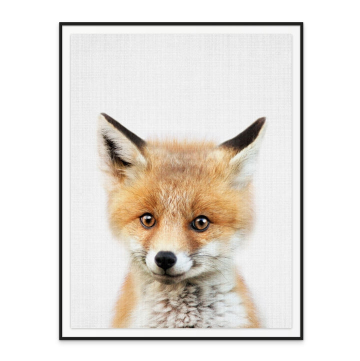 Cuadro "Peekaboo Baby Fox"