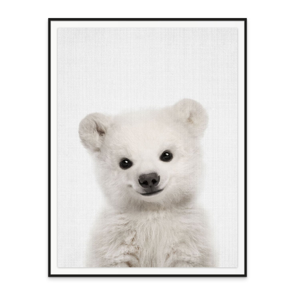 Cuadro "Peekaboo Baby Polar Bear"