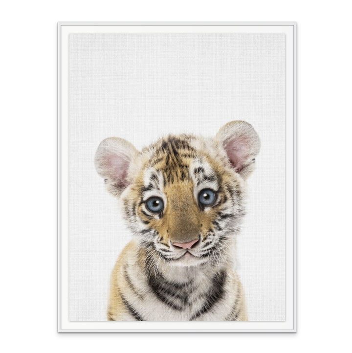 Cuadro "Peekaboo Baby Tiger"
