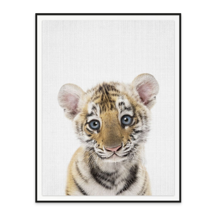 Cuadro "Peekaboo Baby Tiger"