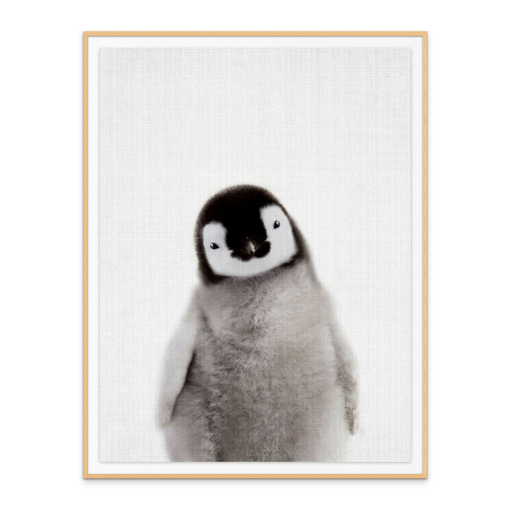 Cuadro "Peekaboo Baby Penguin"