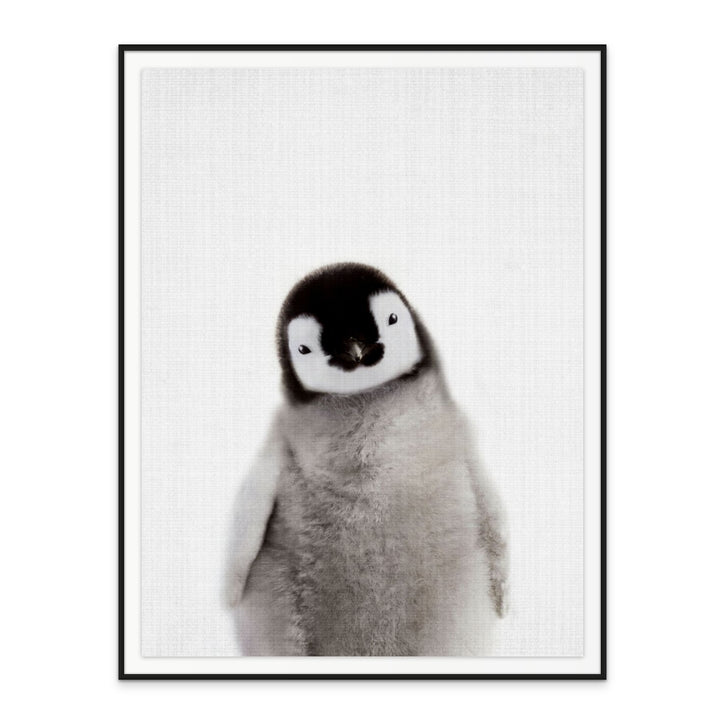 Cuadro "Peekaboo Baby Penguin"