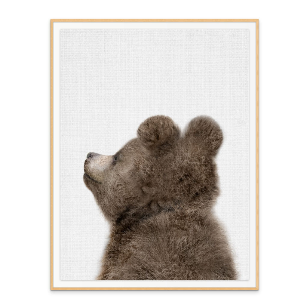 Cuadro "Peekaboo Baby Bear Back"